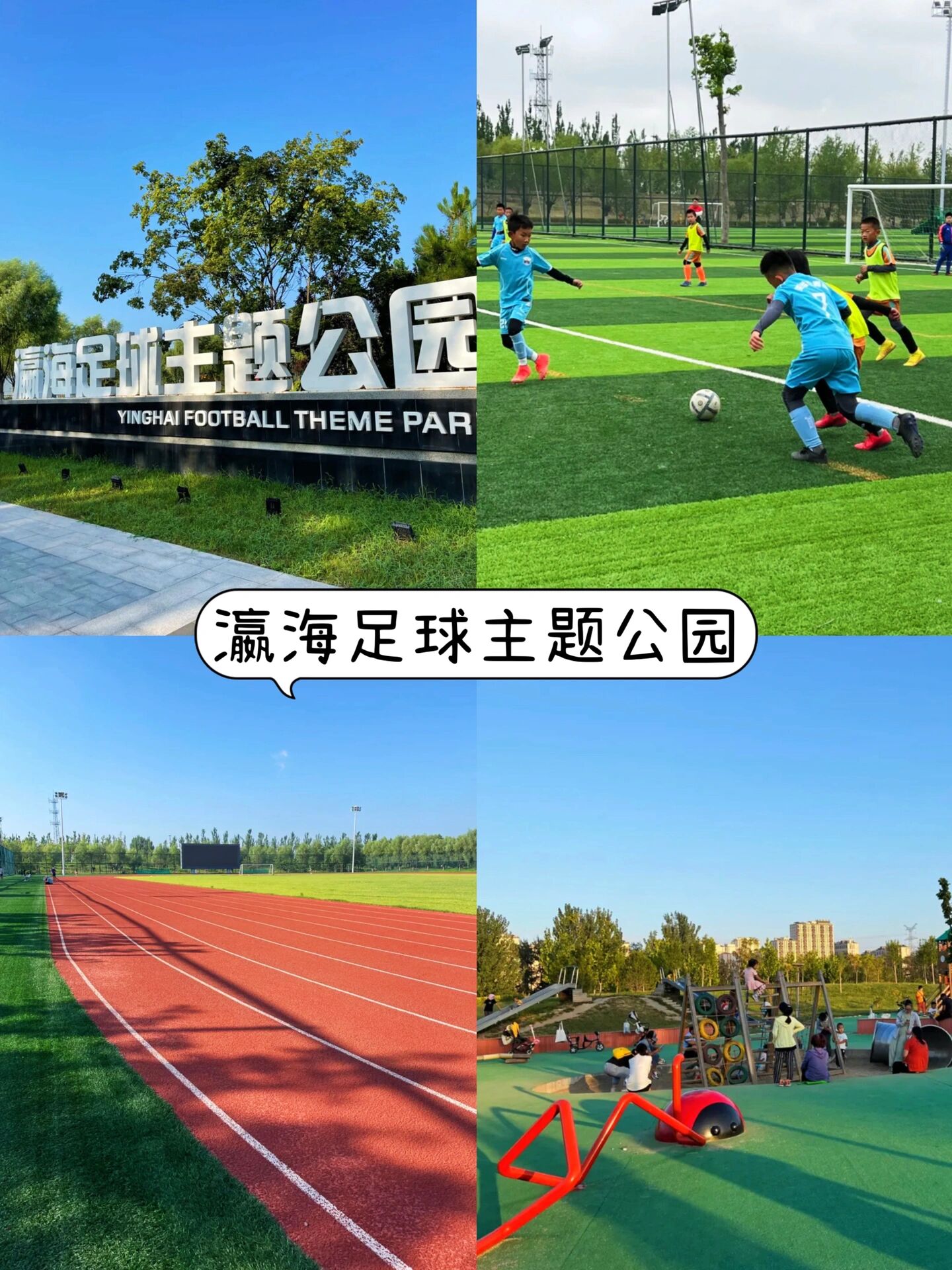 爱游戏娱乐平台-特色足球主题公园在部分城市试点，推动文化体育结合深度发展的简单介绍