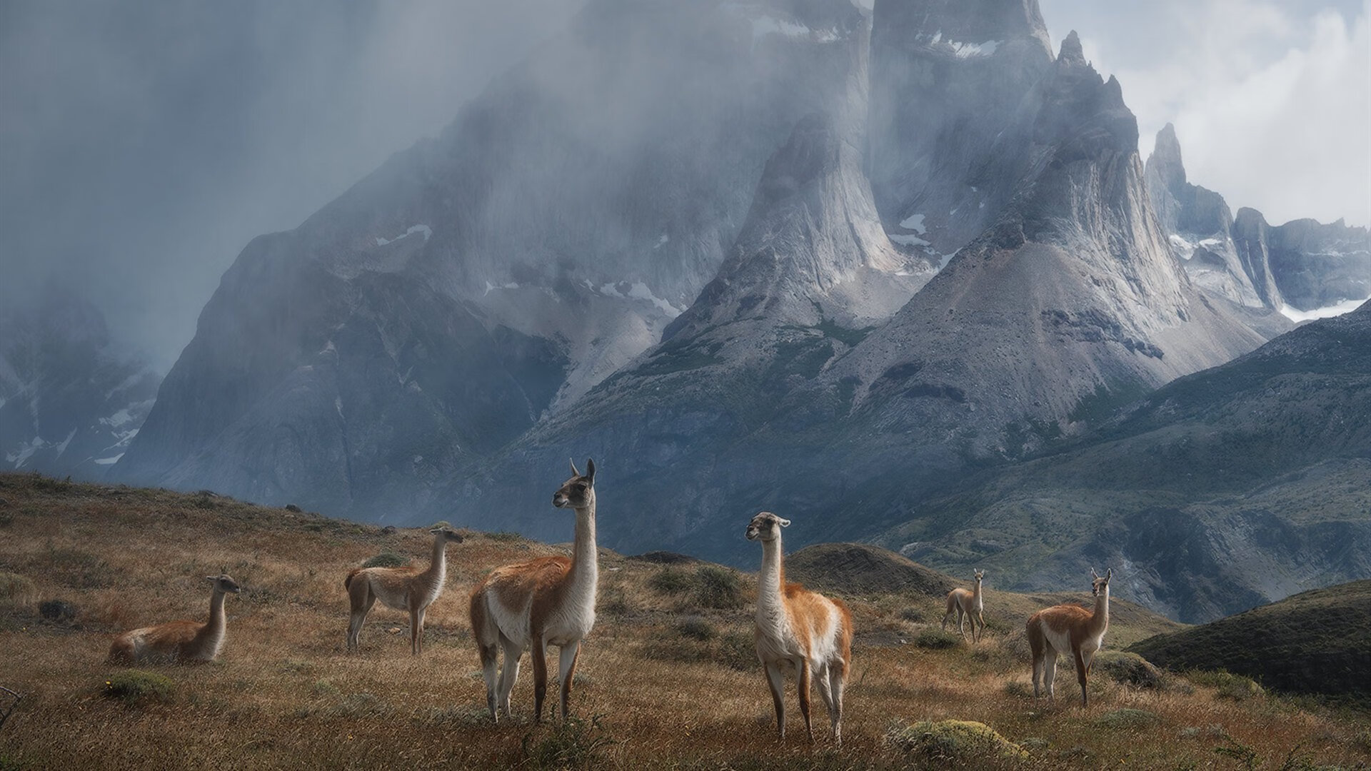 AYX官网-F1推动行业创新：从赛车到民用技术，f1赛车设计