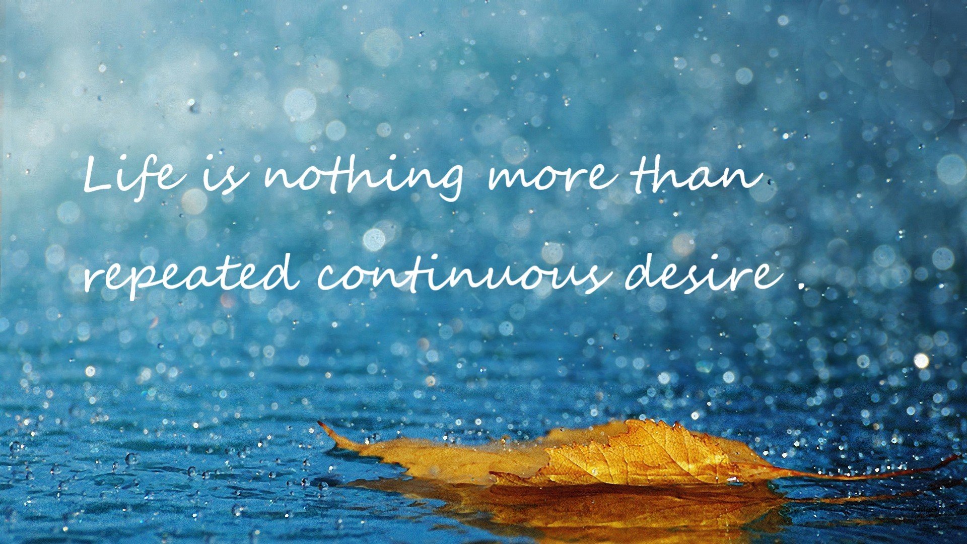 F1新规则引发车队技术革命，f1车辆规则