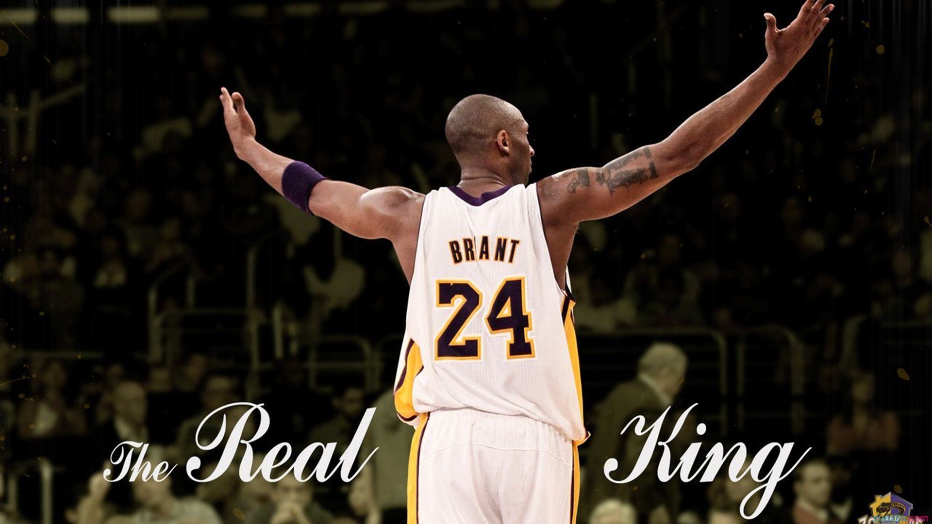 爱游戏下载-_著名教练揭秘：培养顶级运动员的训练诀窍_，怎么培养运动员