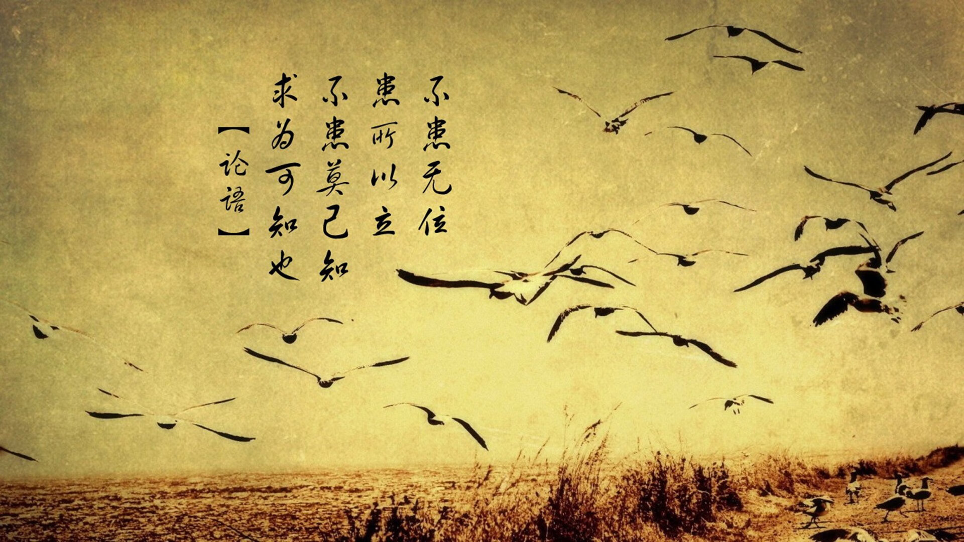 AYX体育-_蓝天滑翔：空中速度的极限体验_，蓝天滑雪场门票多少钱