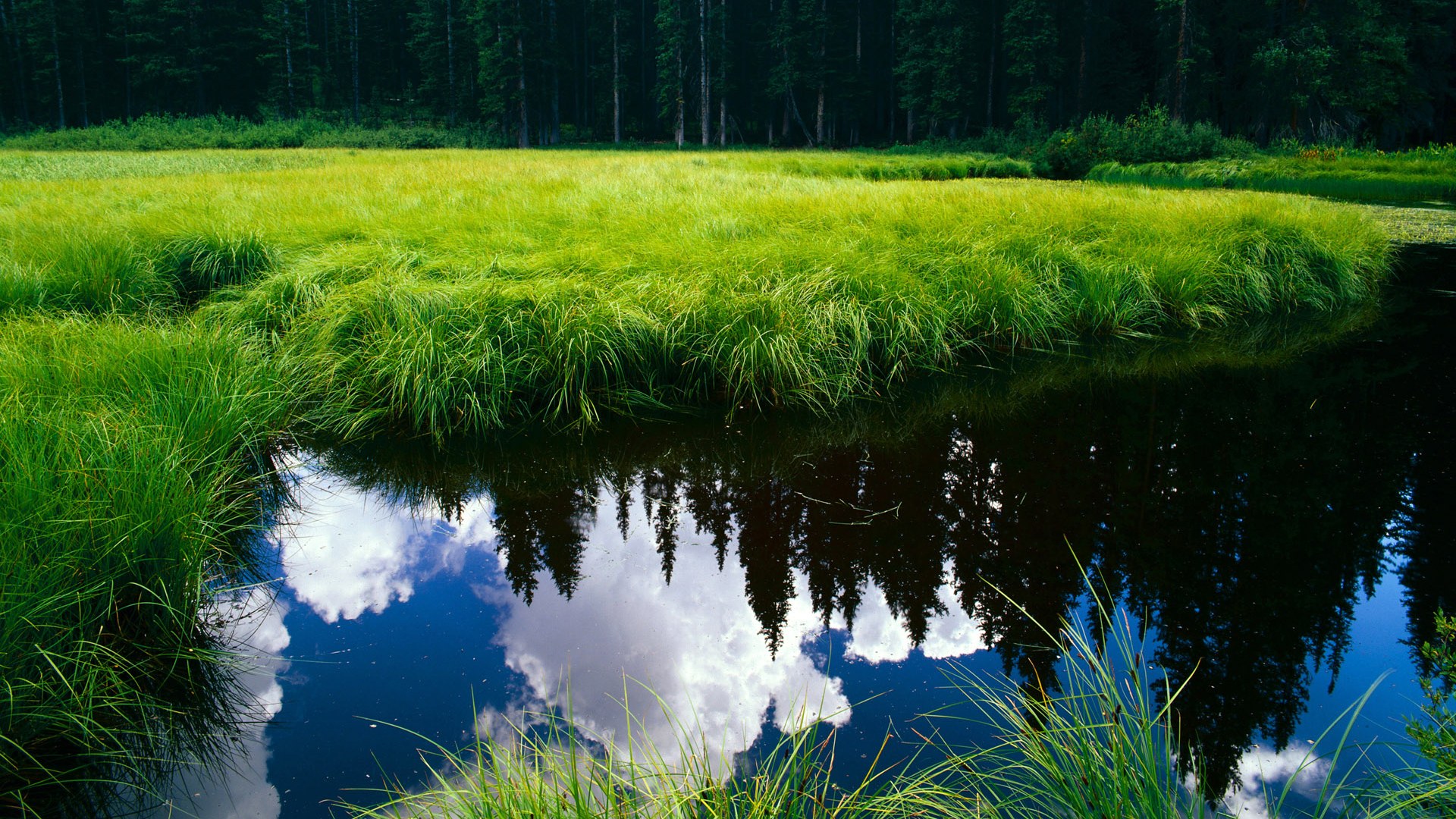 爱游戏体育APP下载-“环球巡游：五大洲极限赛段大集合”