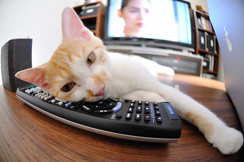 爱游戏体育APP下载-【比赛回顾】奥沙利文：助力国家队夺得团体冠军，奥沙利文比赛结果