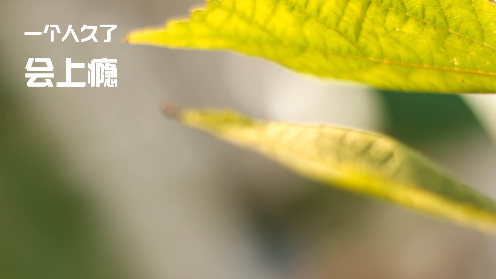 爱游戏平台-中国足协召开裁判制度改革研讨会，中国足协裁判员官网