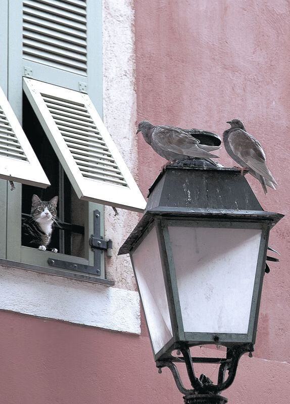 爱游戏中国官方登录入口网站-加拿大主帅：输给伊朗毫不冤枉，他们适应雪比我们好，加拿大足球主教练