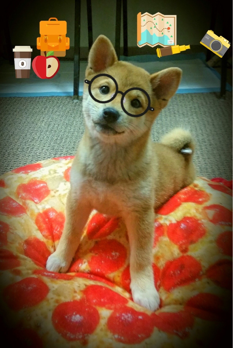 AYX体育官网-埃马纽埃尔·瓦尼奥尼成为最年轻的800米奥运冠军