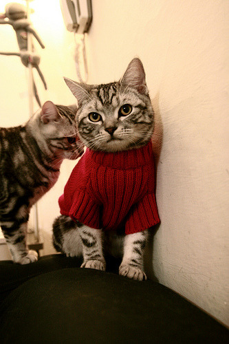 埃马纽埃尔·瓦尼奥尼成为最年轻的800米奥运冠军