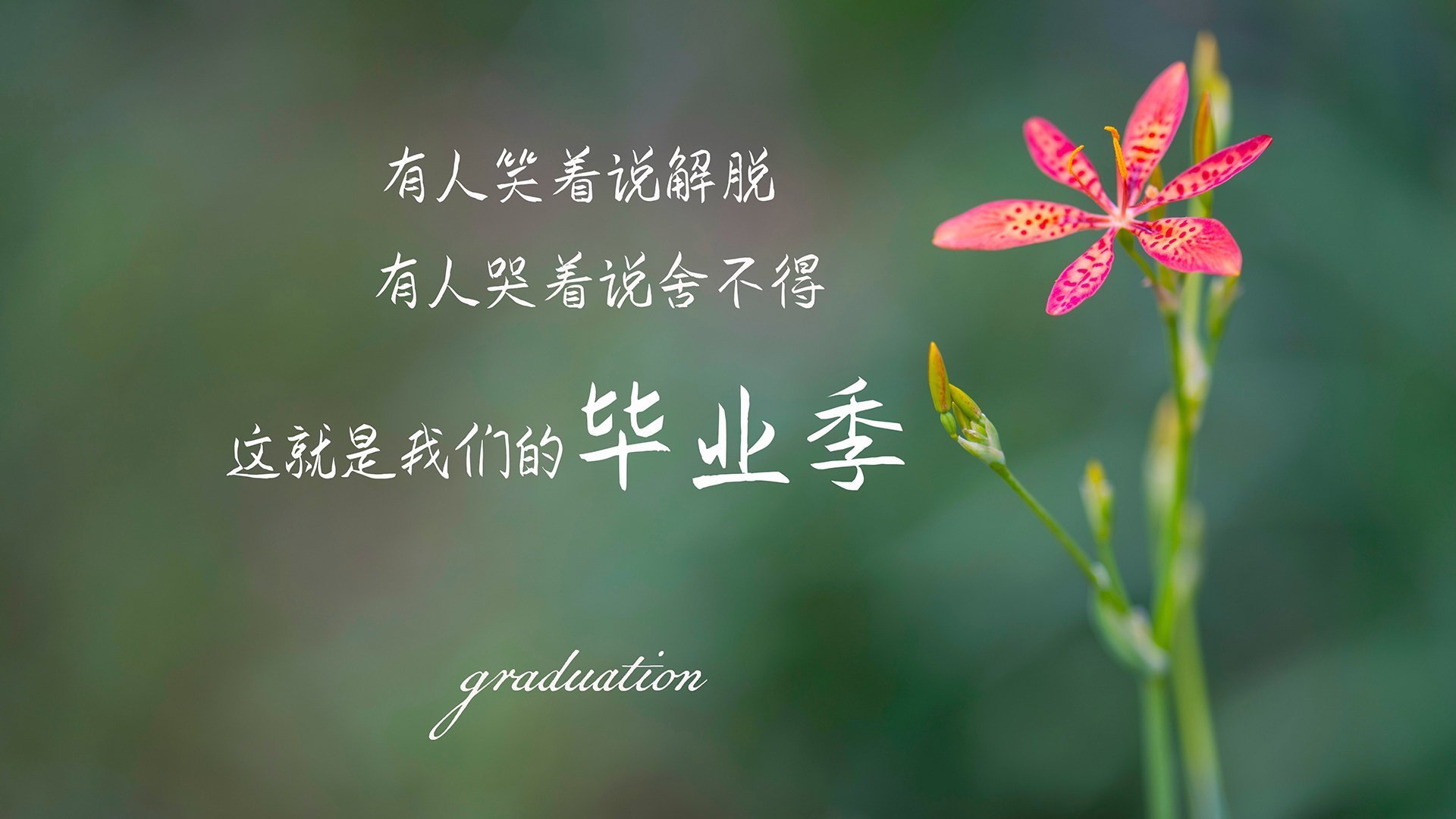 王者礼赞:历年MVP得主的辉煌瞬间,王者荣耀历届mvp