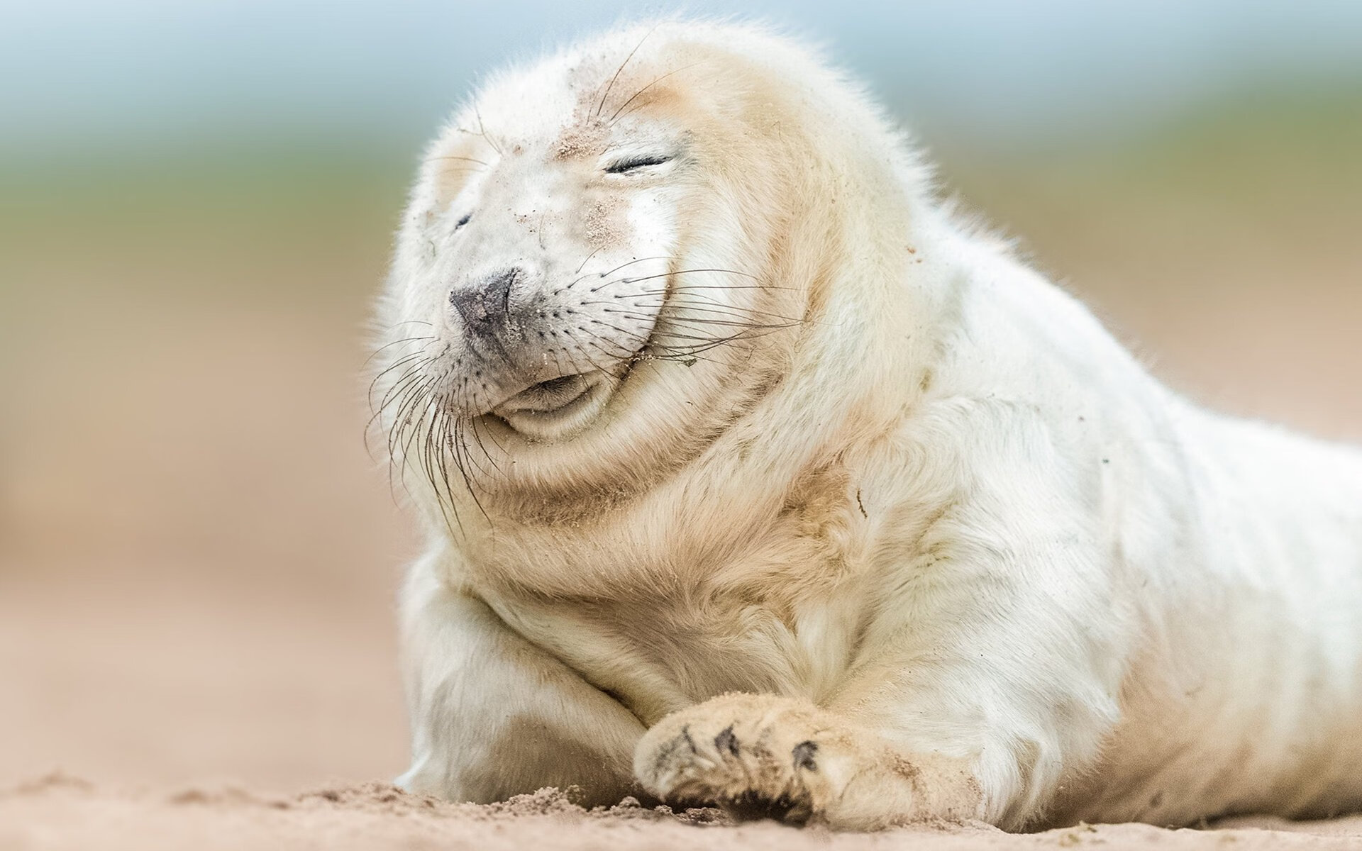 日本代表团成员体验杭州亚运村服务,赞赏志愿者热情好客。,2021年日本亚运会