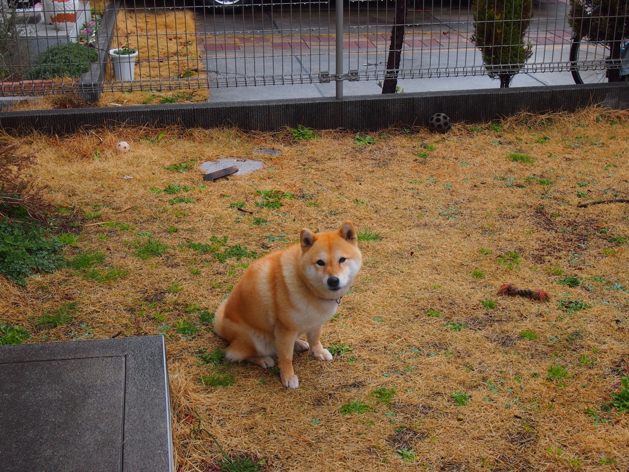 横滨水手防守稳健失球减少,横滨水手vs