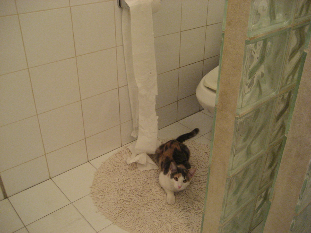 皇家马德里遭遇惨败,欧冠卫冕火力不足!,皇家马德里欧冠冠军阵容