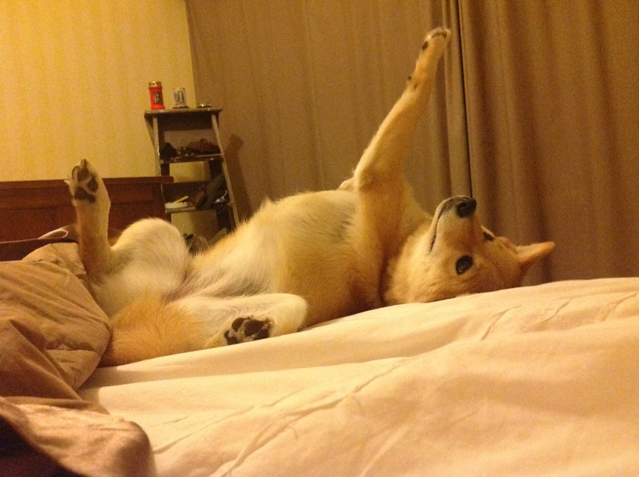 皇家马德里镇守主场，闯关拜仁慕尼黑，皇家马德里的球场