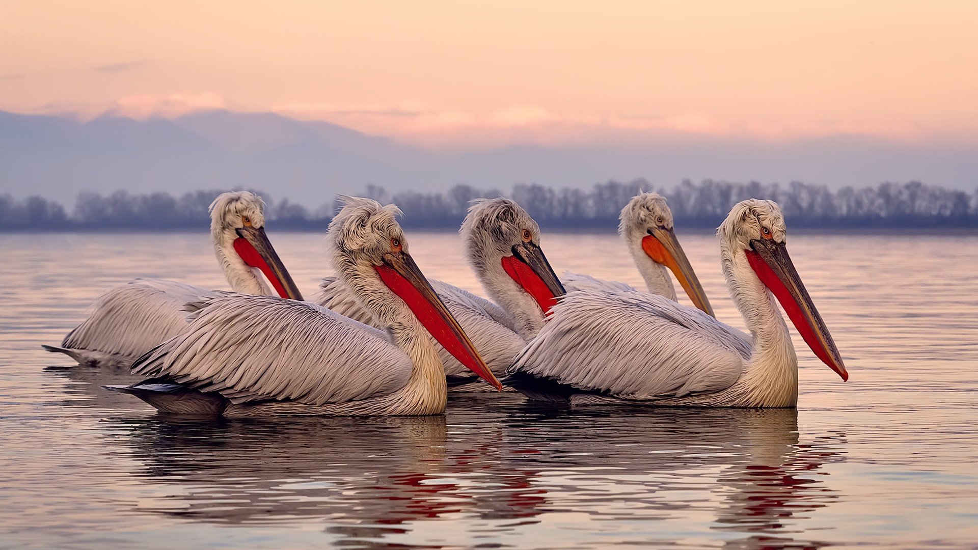 爱游戏体育APP下载-维达德卡萨布兰卡计划举办国际足球训练营，促进交流，大伟卡萨布兰卡