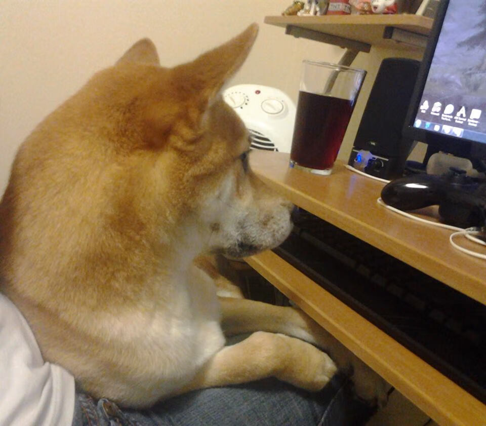 维达德卡萨布兰卡计划举办国际足球训练营,促进交流,达维德卡拉布里亚