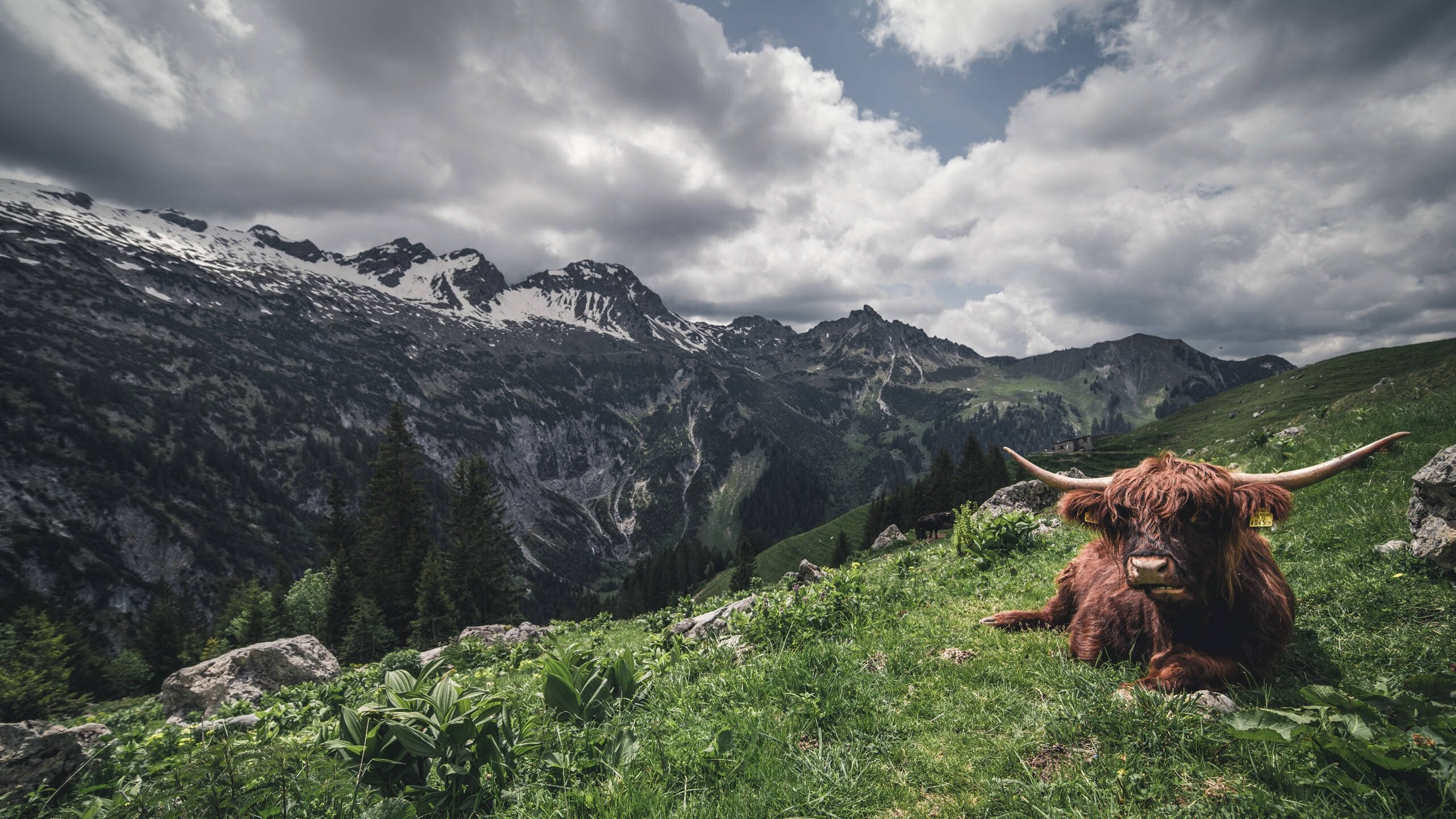 中国女篮提升转换进攻处理能力,中国女篮进步