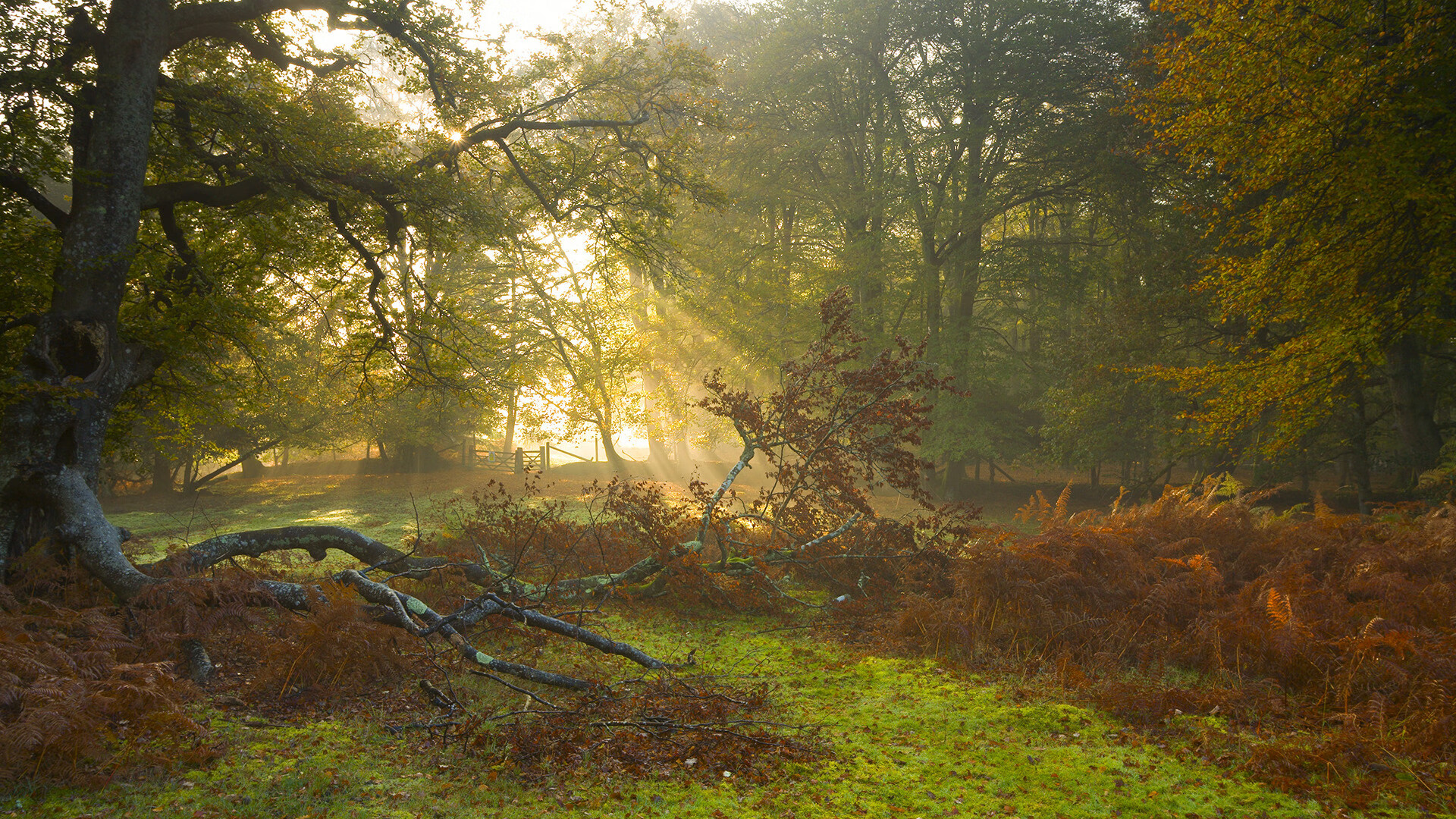 社交媒体关注年轻球员海外效力动态,海外球员过多