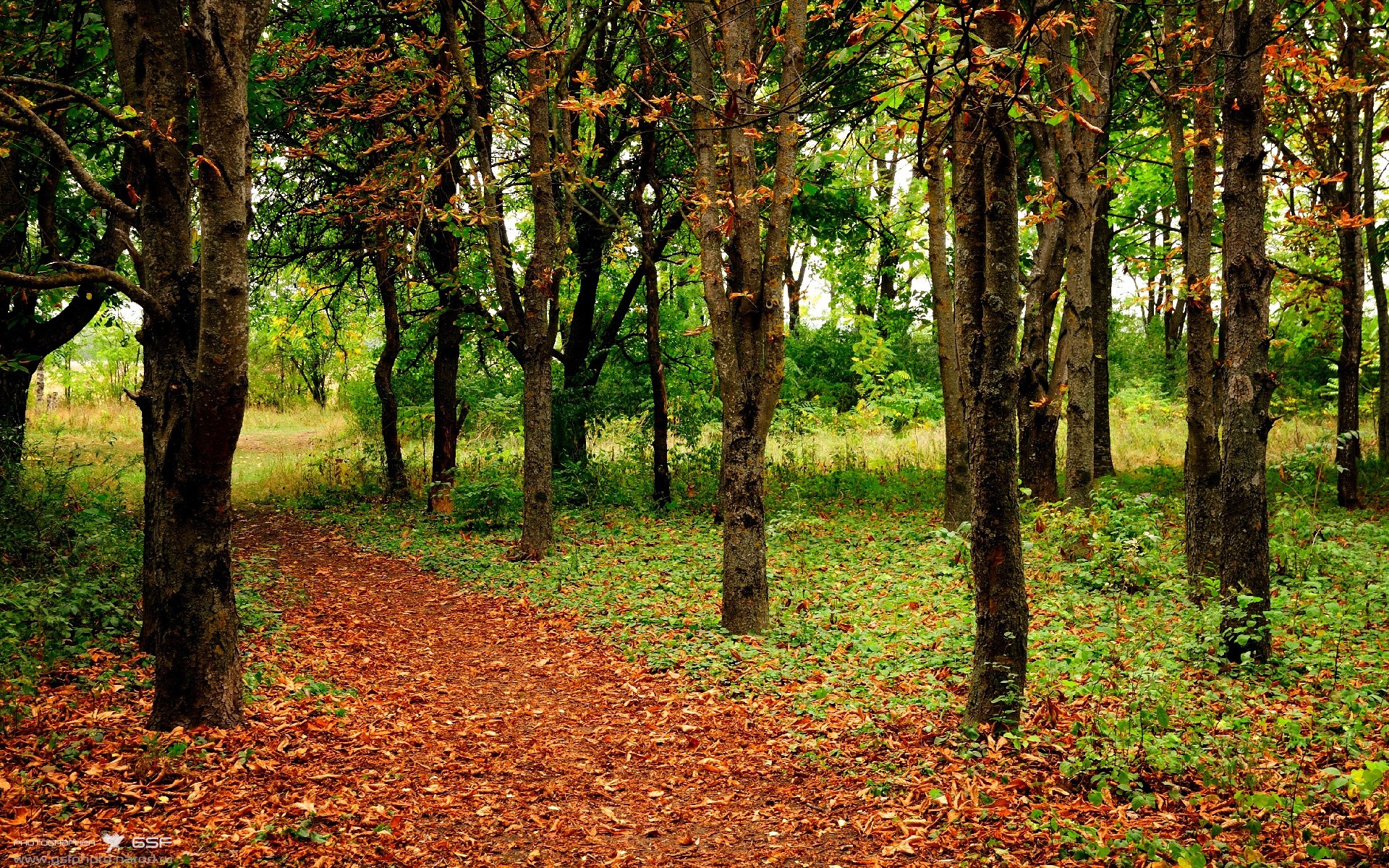 爱游戏登录入口-米兰双雄迎来关键战役，奋力争夺意甲头把交椅