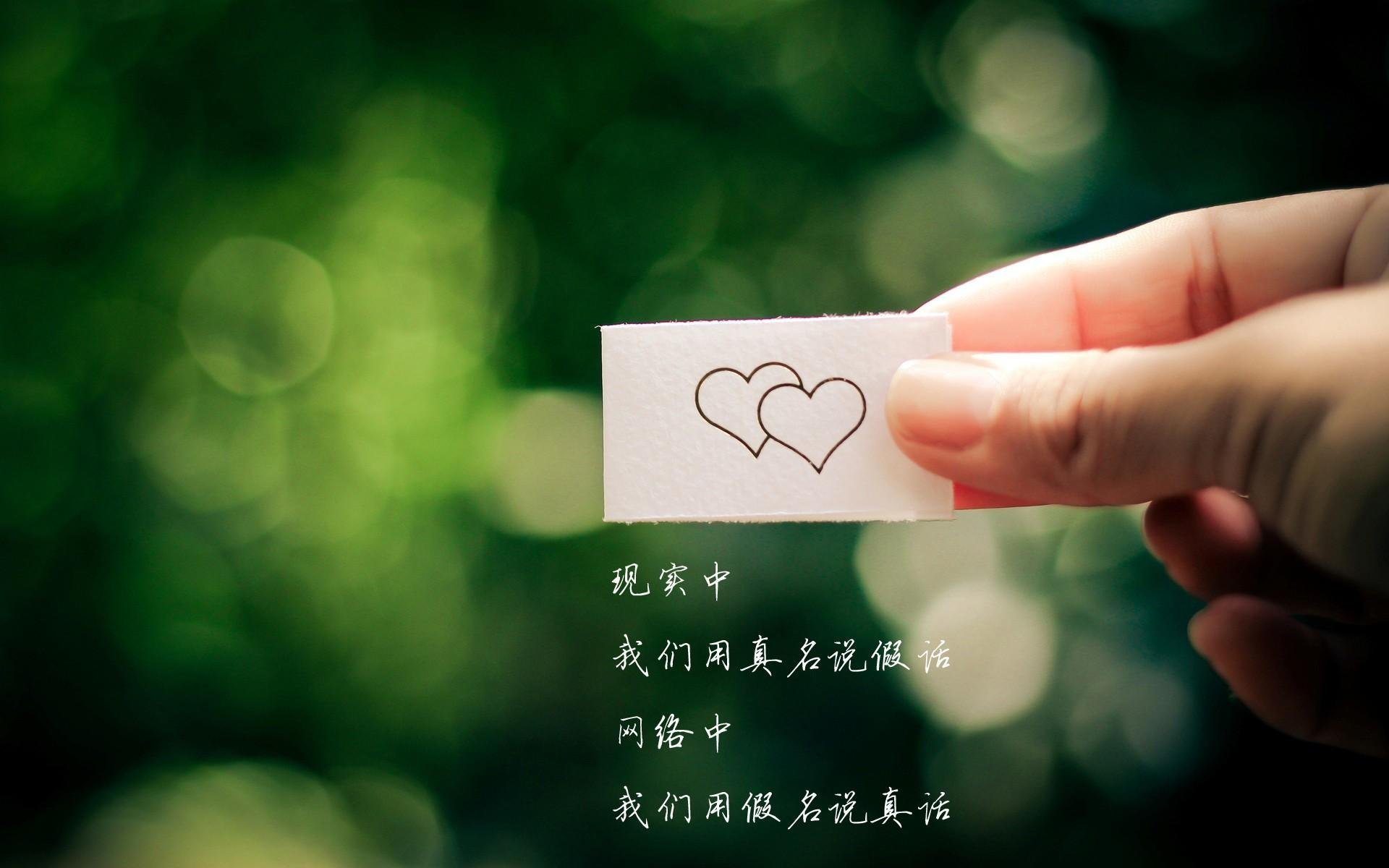 美洲杯明星再临：突破、精彩、惊喜！，美洲杯人气