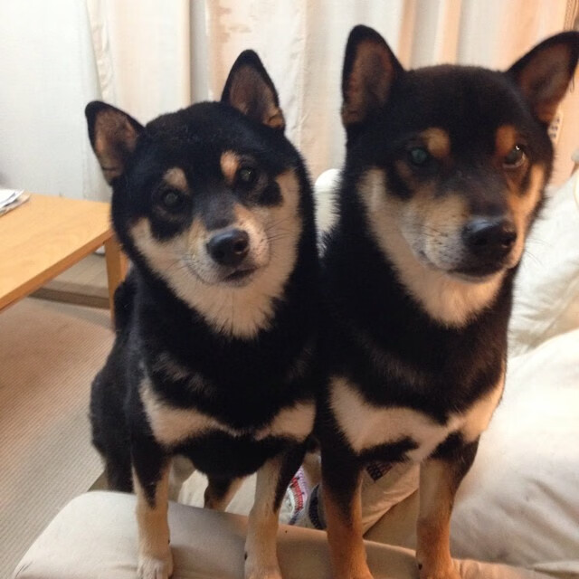 赛事招商合作成果显著吸引多领域企业跨界参与，招商引资竞赛